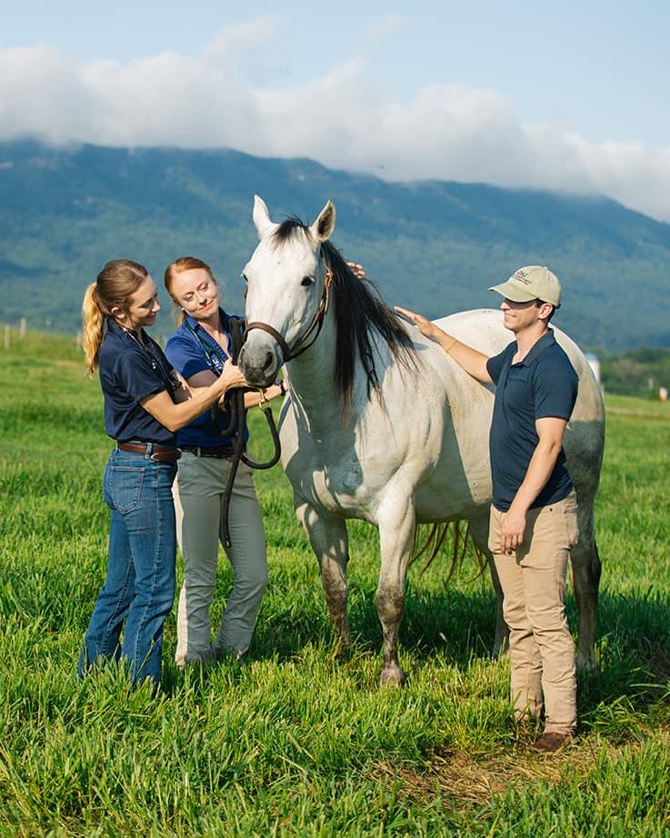 student with horse