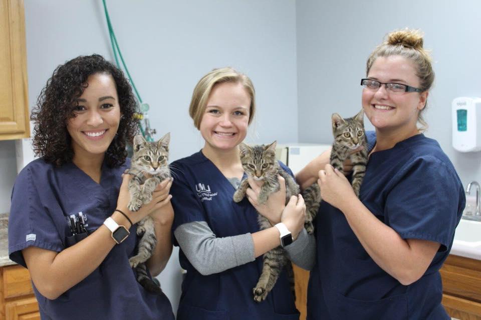 women holding cats